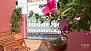 S&eacute;ville Appartement - The roof-terrace is equipped with a watering system for the plants.