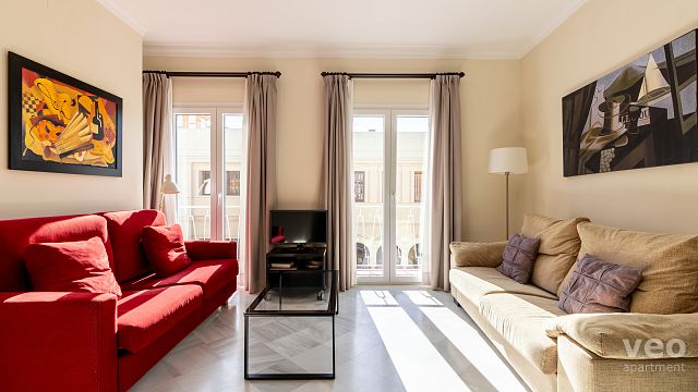 Rent vacation apartment in Seville Rioja Street Seville