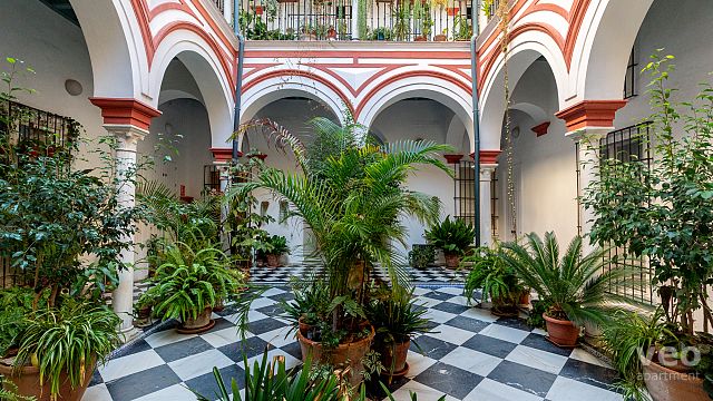 Rent vacation apartment in Seville San Isidoro Street Seville